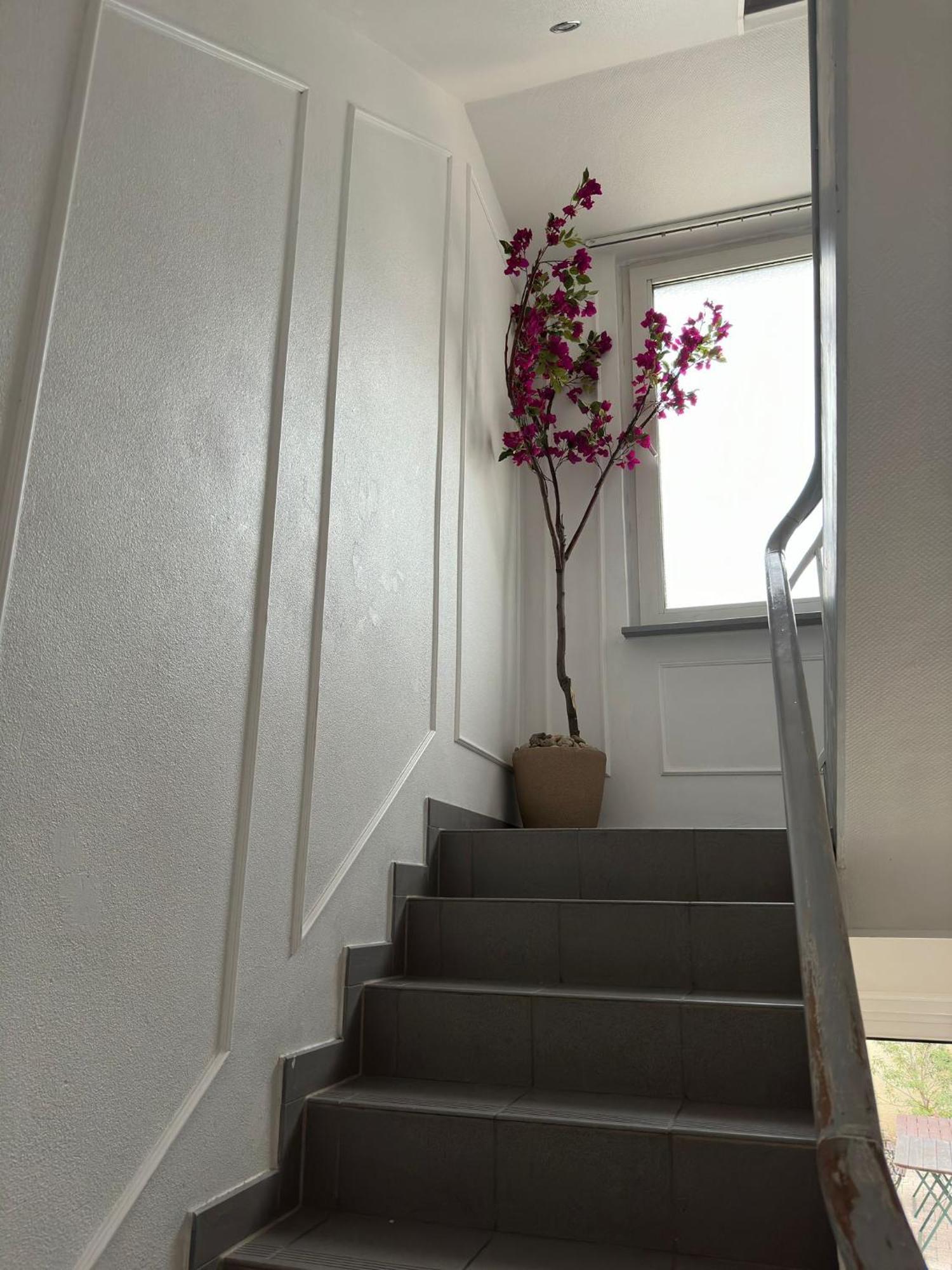 Apartmán Leimen51 Wg3 Exteriér fotografie